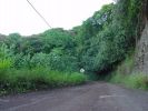 ... auch das nennt sich Highway ... (Pi'ilani Hwy.)